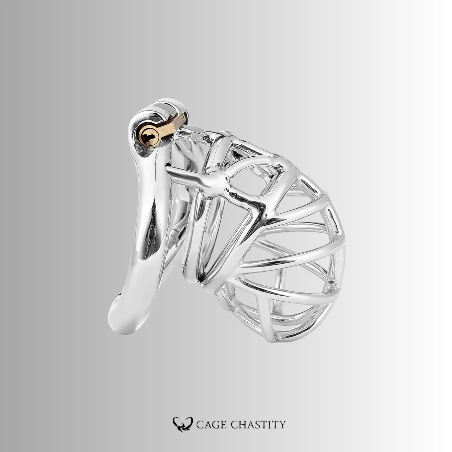 details of the polished metal surface