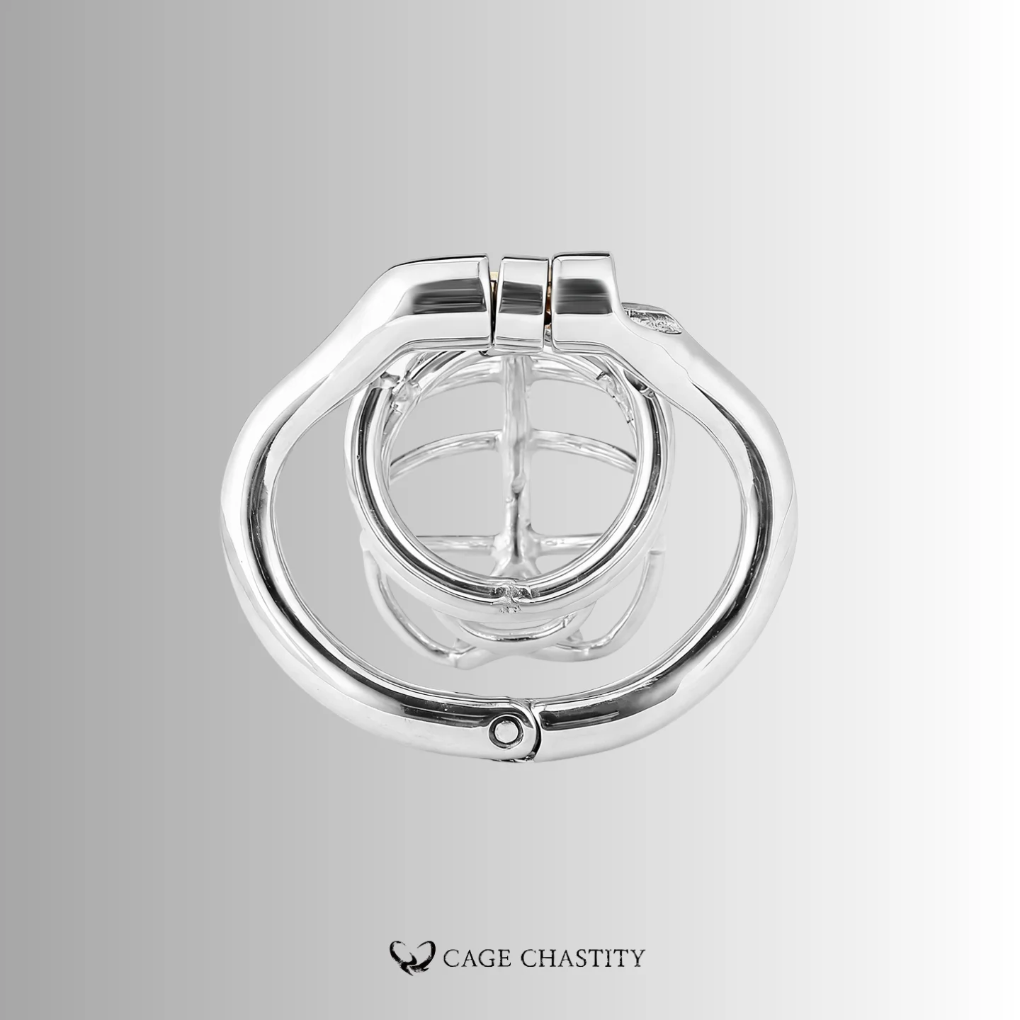 the inside of the sr01 cage