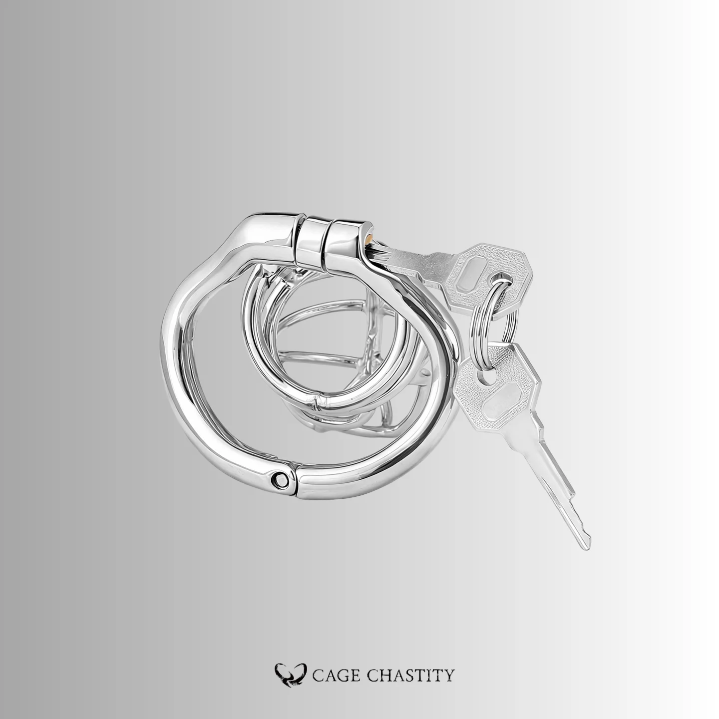 the details of the attached lock