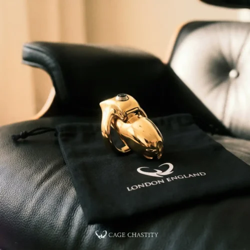 the gold htv5 chastity cage on cc black bag