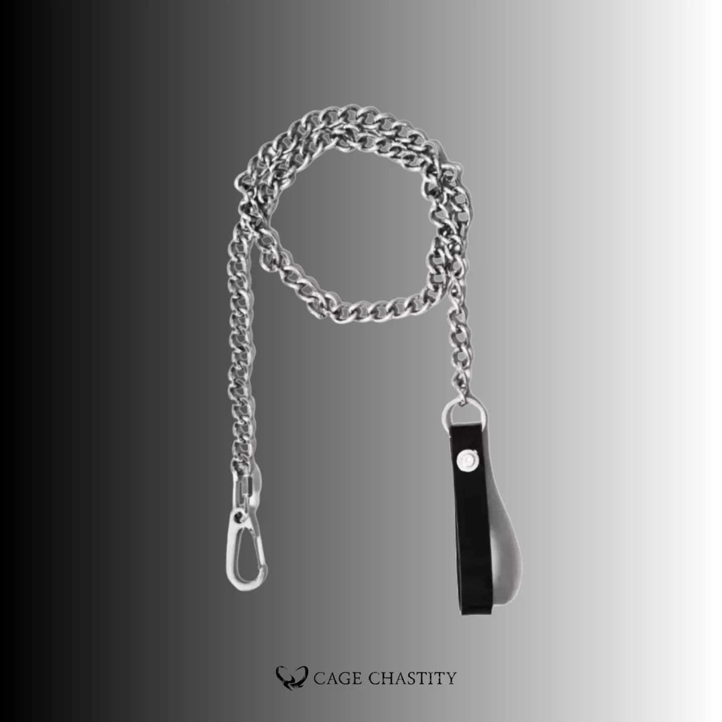 the metal leash with silicone handel