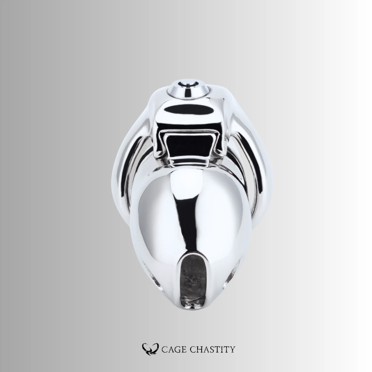 the front view of the htv5