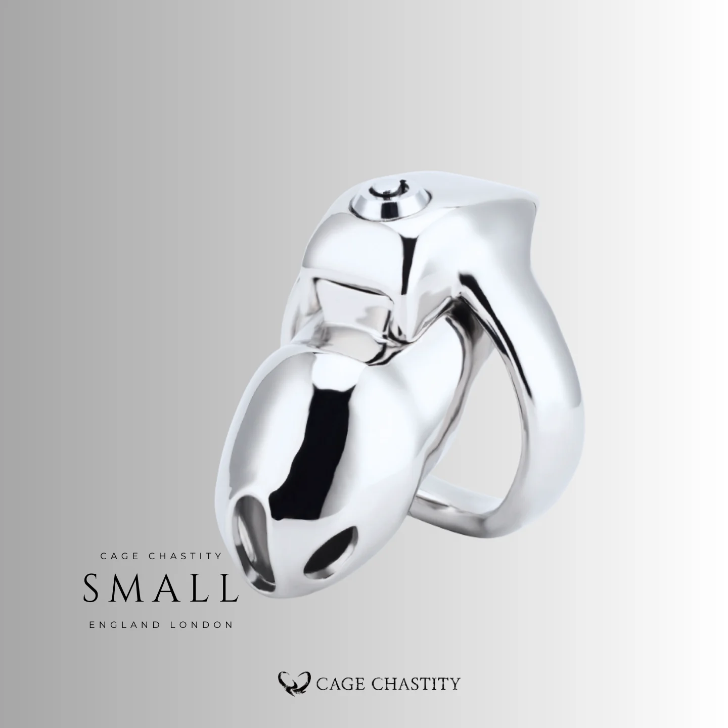 the small size of hte htv5