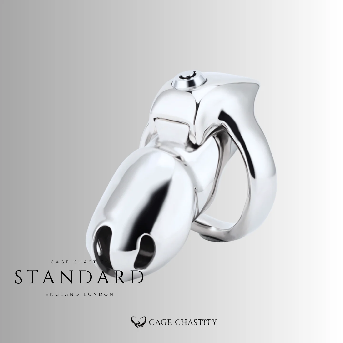 the standard version of the htv5