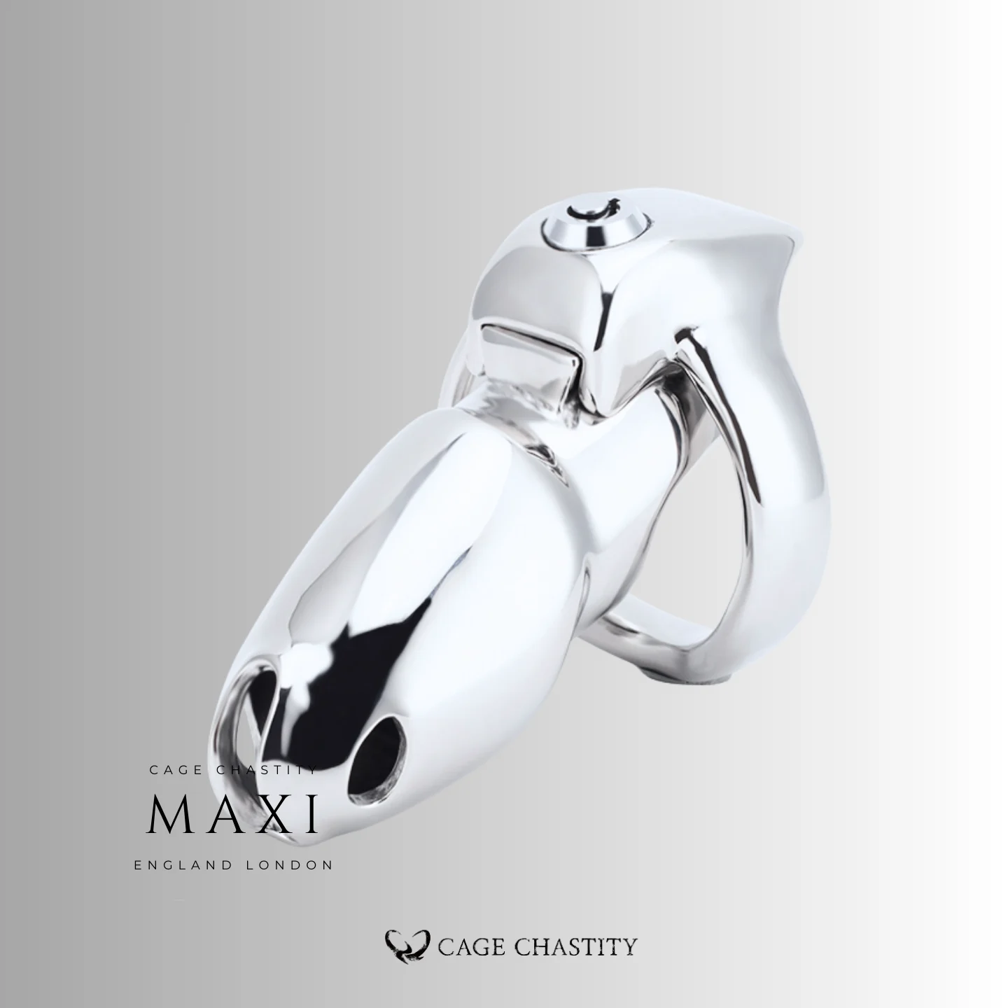 the maxi size of the silver htv5