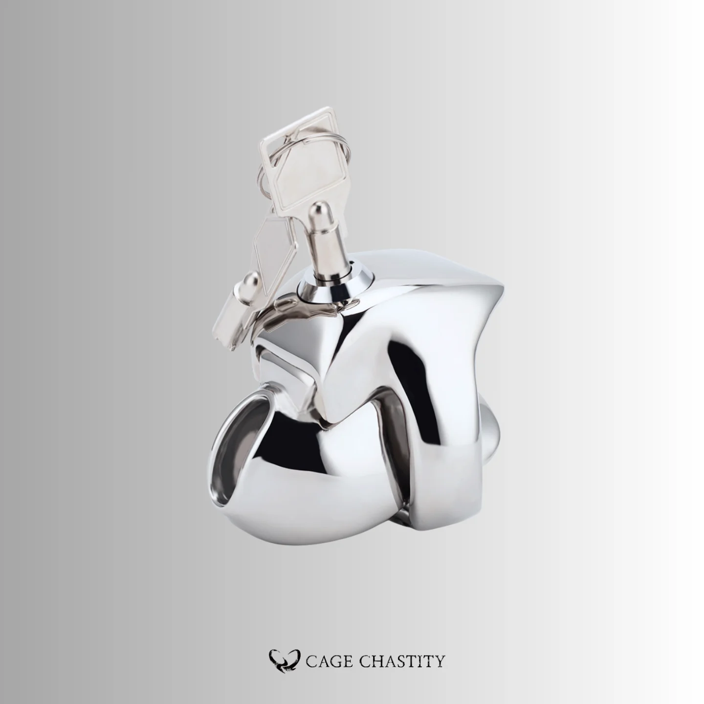 the nub size cage with the key on top