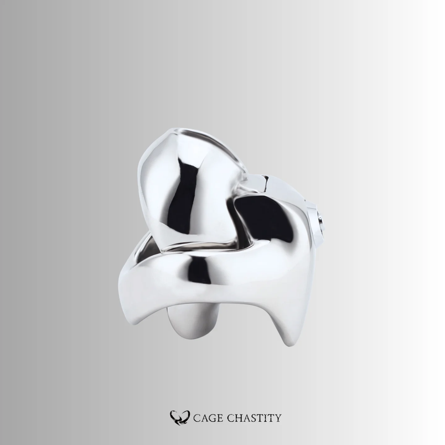 the side view of the metal htv5