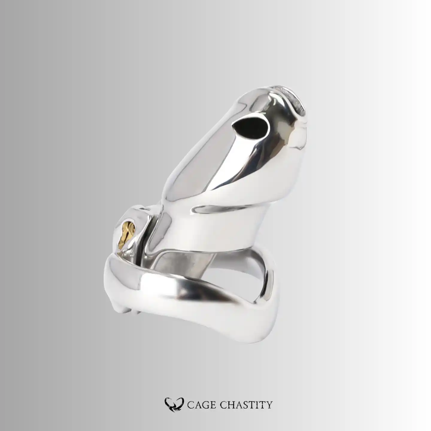 the large htv4 in silver color