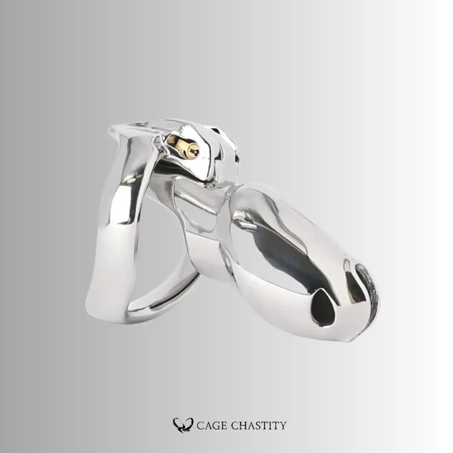 the large silver htv4