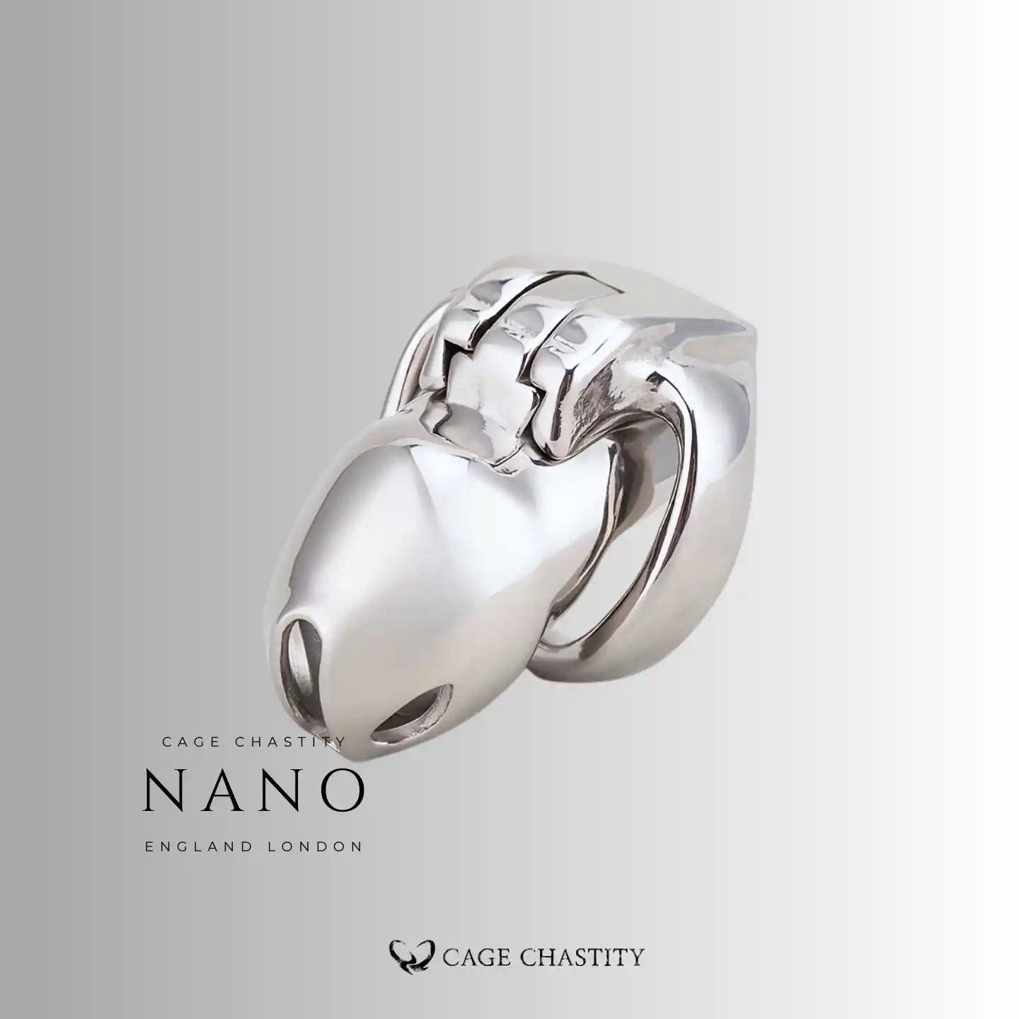 the silver htv4 in nano size