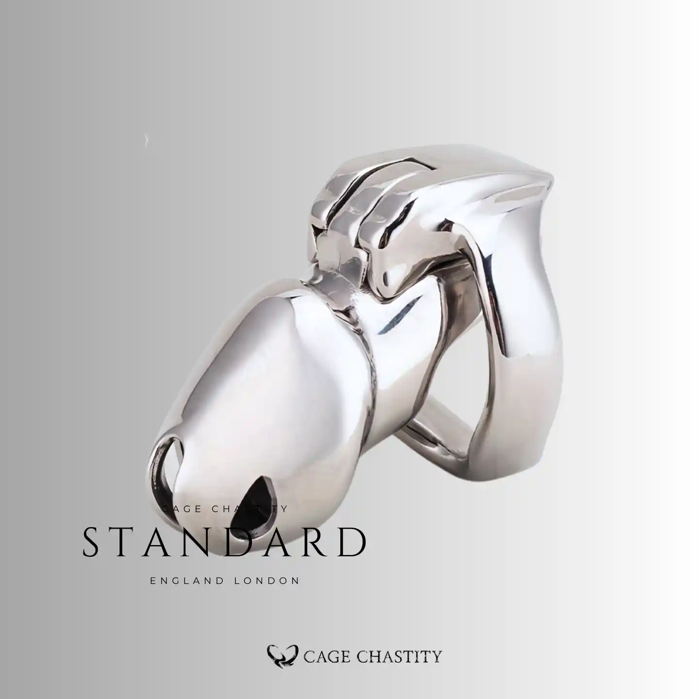 the standard version of htv4