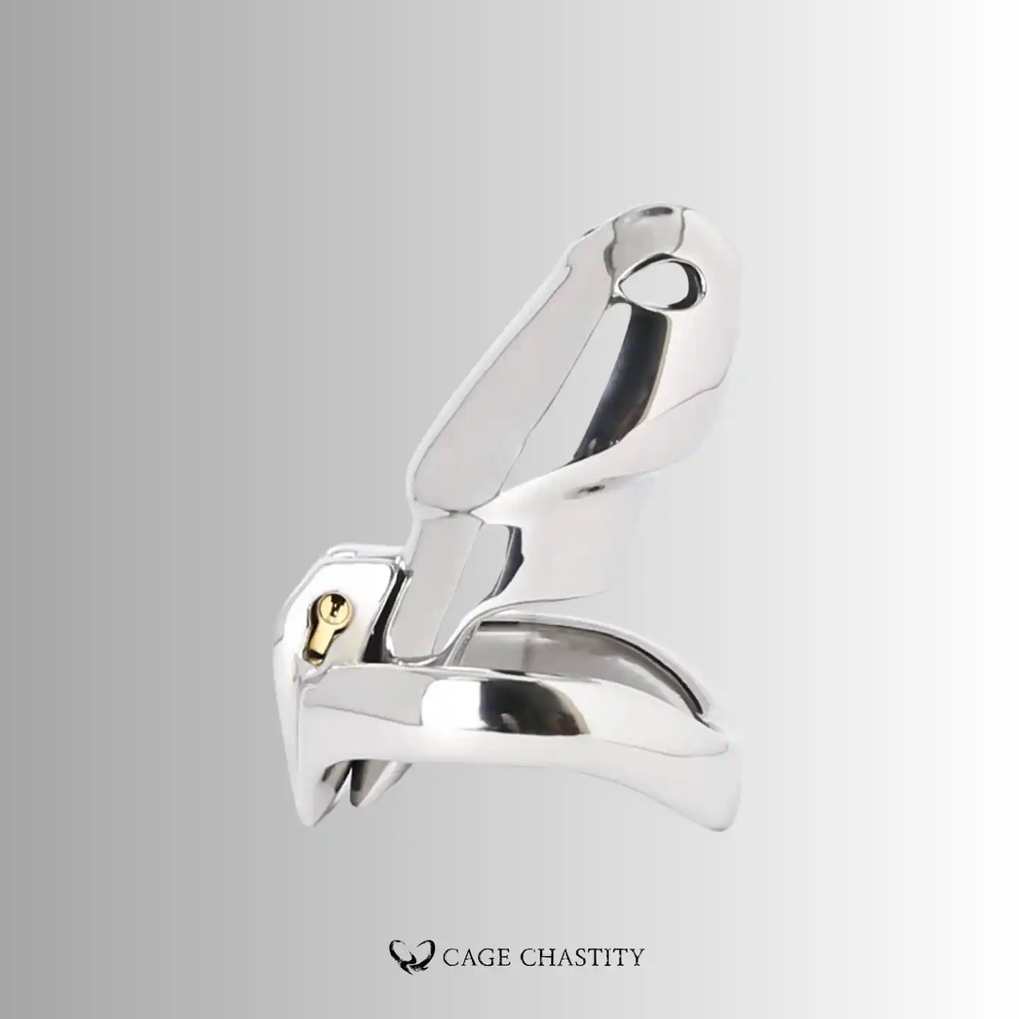 the maxi large size htv4