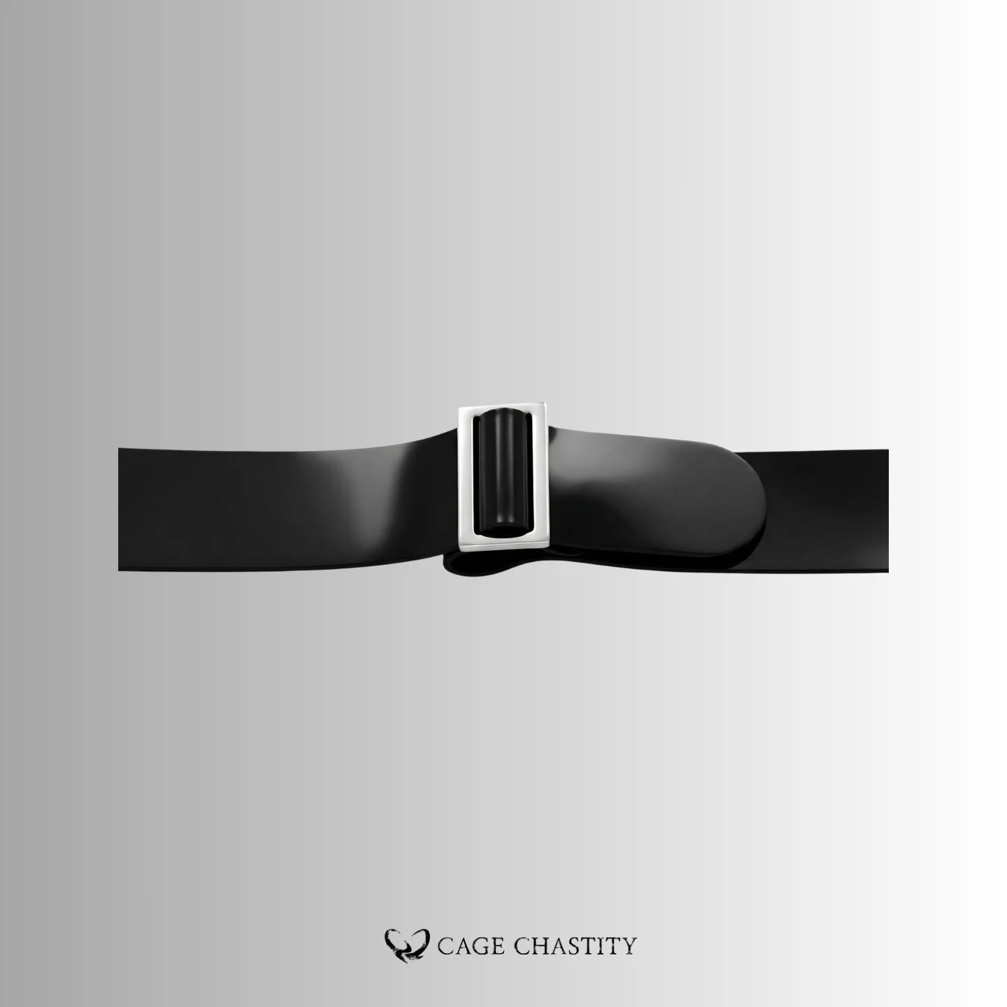 the connecting buckles of the strap