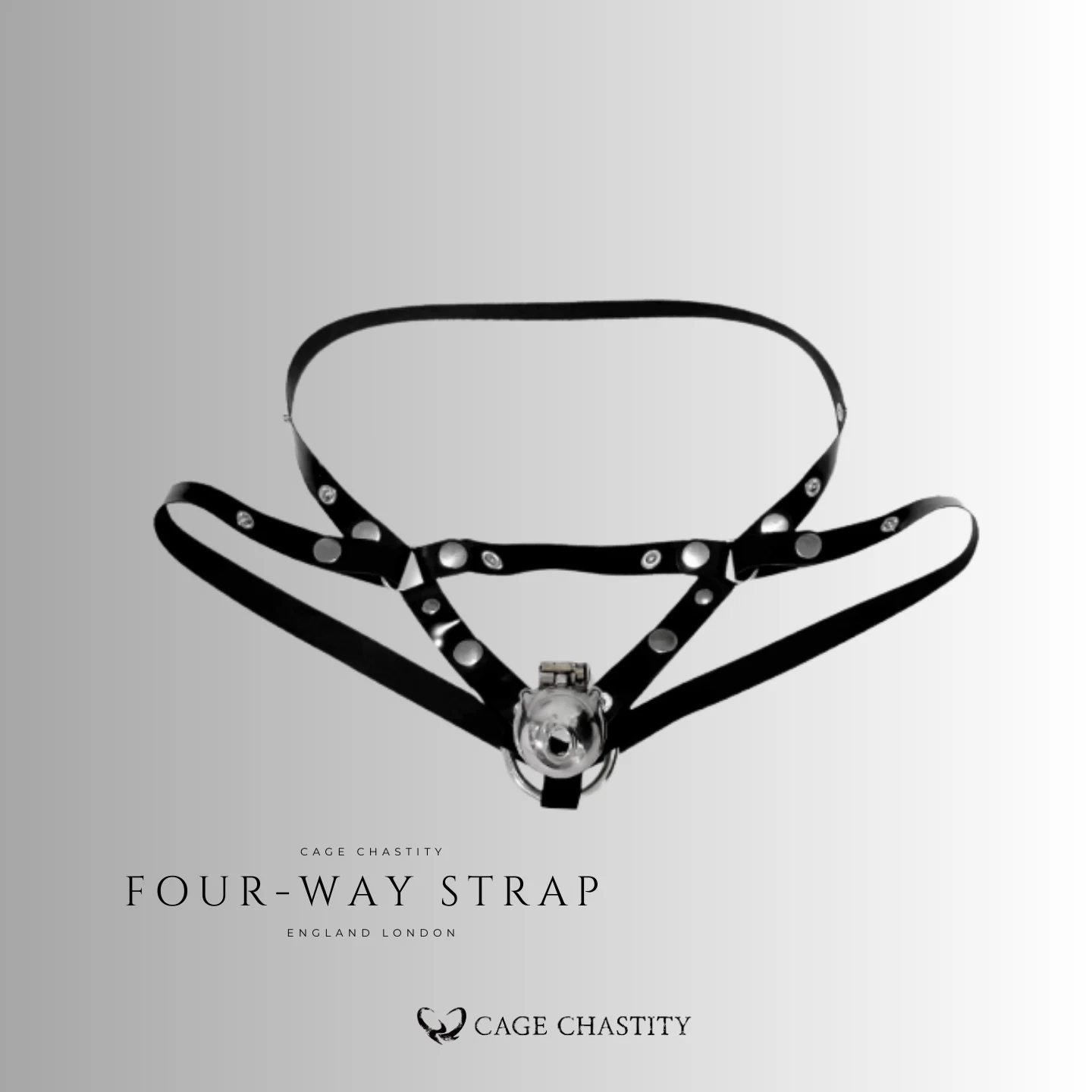 the four way strap demostration, with a metal cage attached