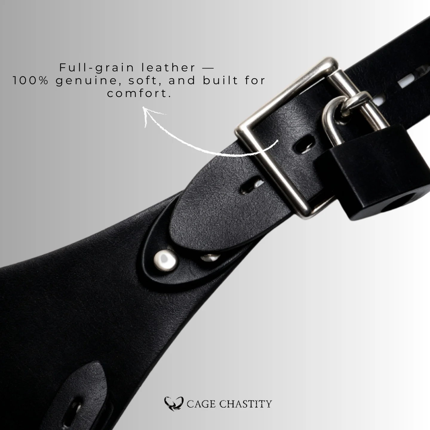 Tri-Lock Leather Chastity Harness – Standard & Locking Options