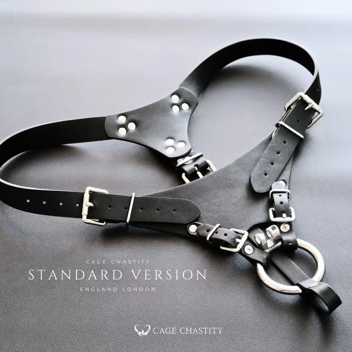 Tri-Lock Leather Chastity Harness – Standard & Locking Options