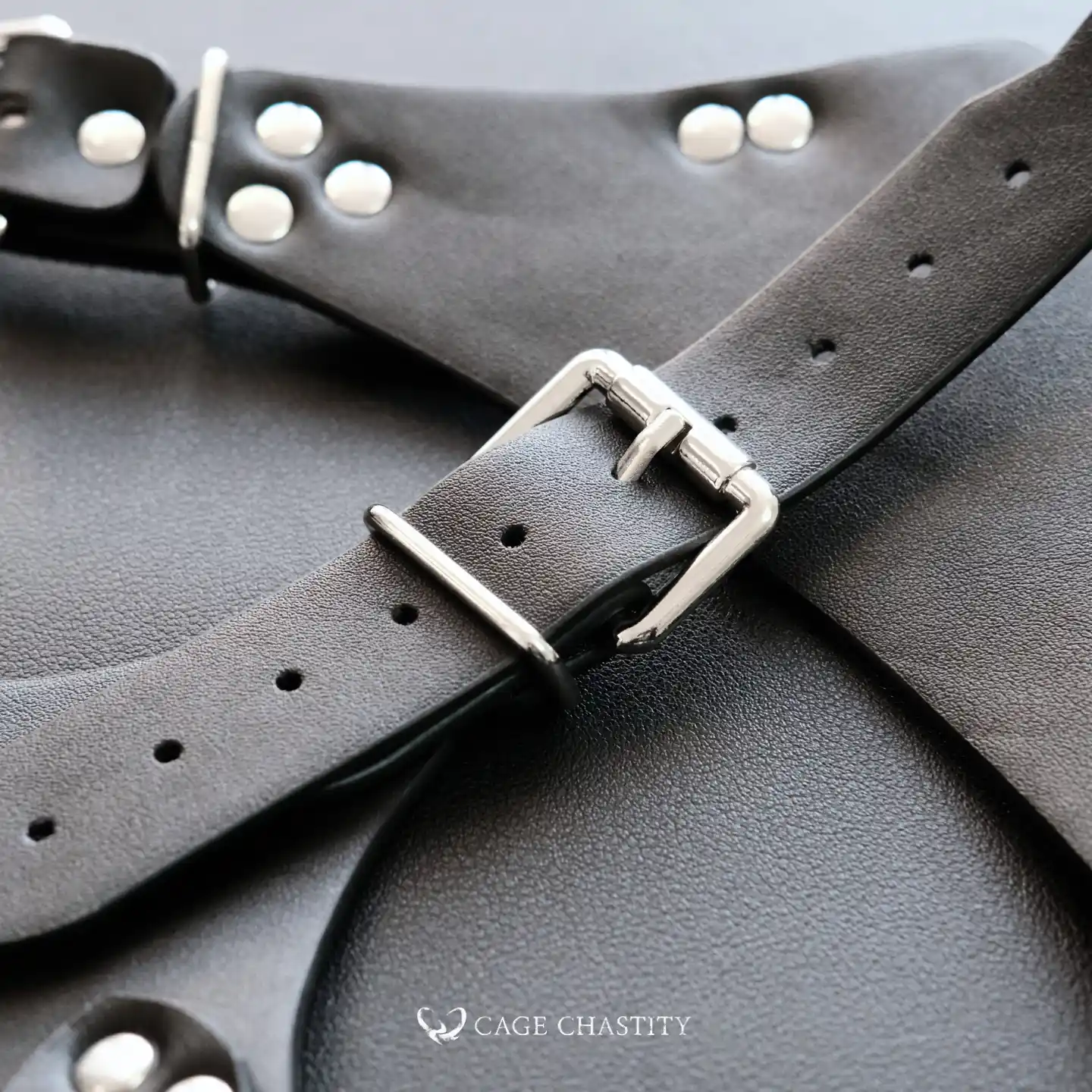 Tri-Lock Leather Chastity Harness – Standard & Locking Options