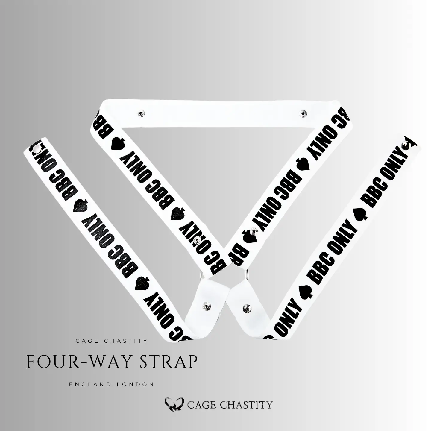 the four way edition of the bbc only belt