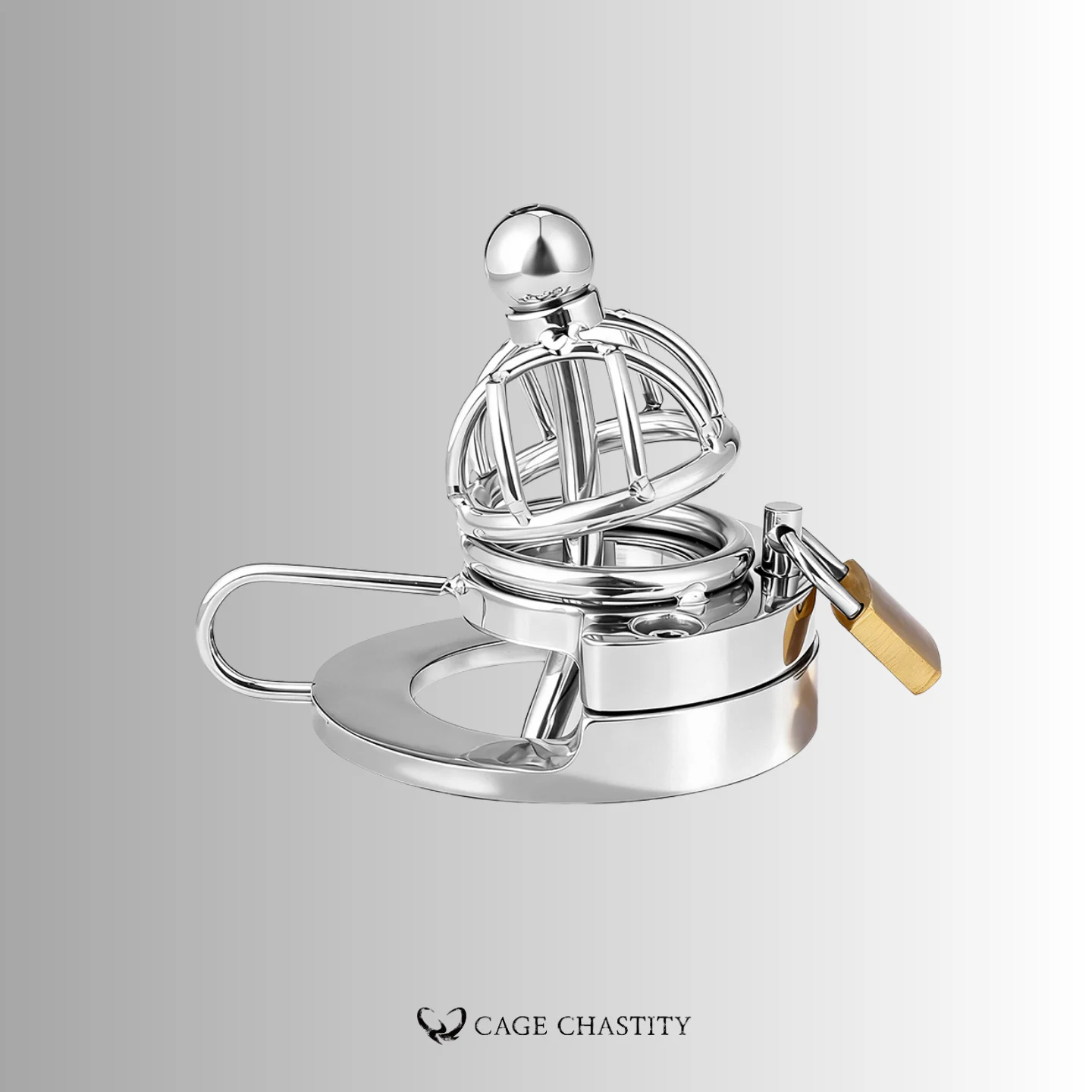 the cage with locks and hook