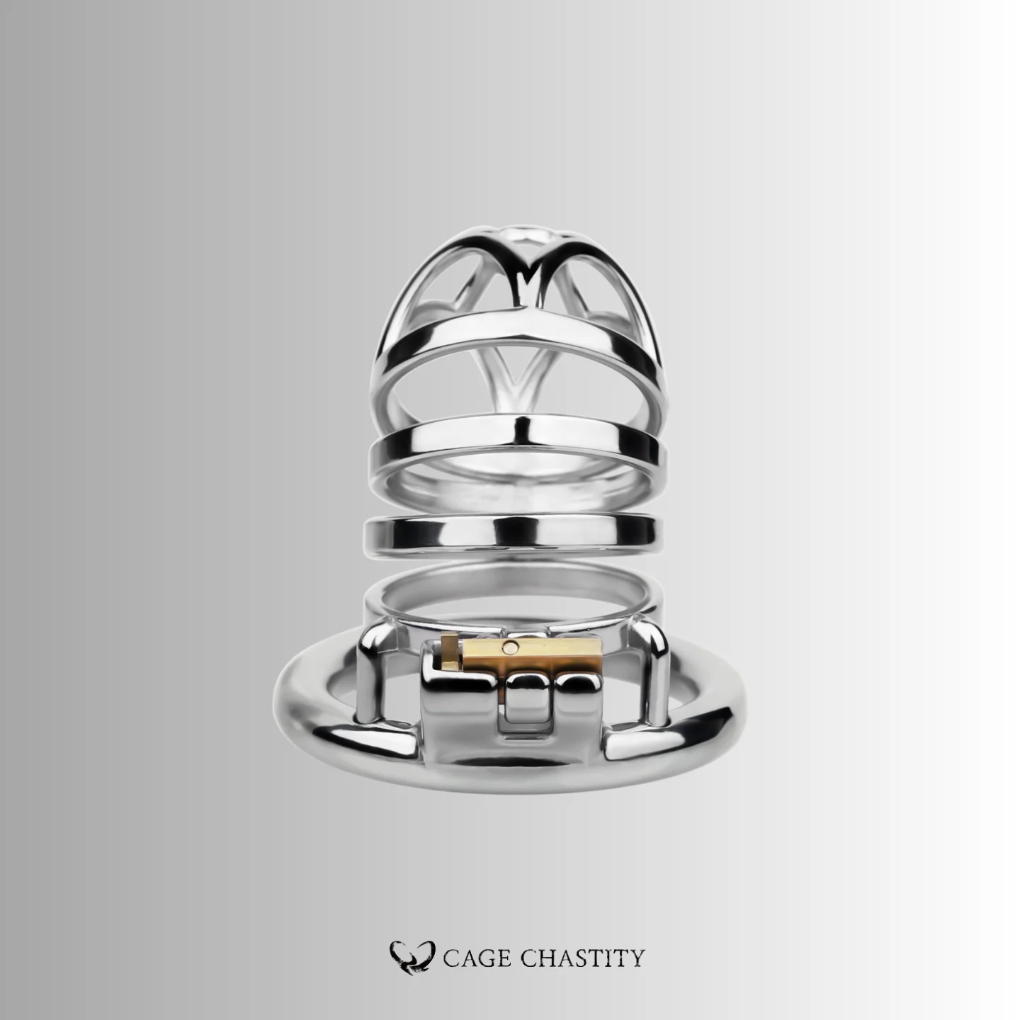 the top view of the cage, well polished stainless metal