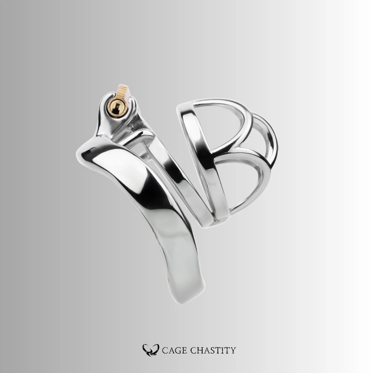 the cck1174 cage with arc ring, from side look