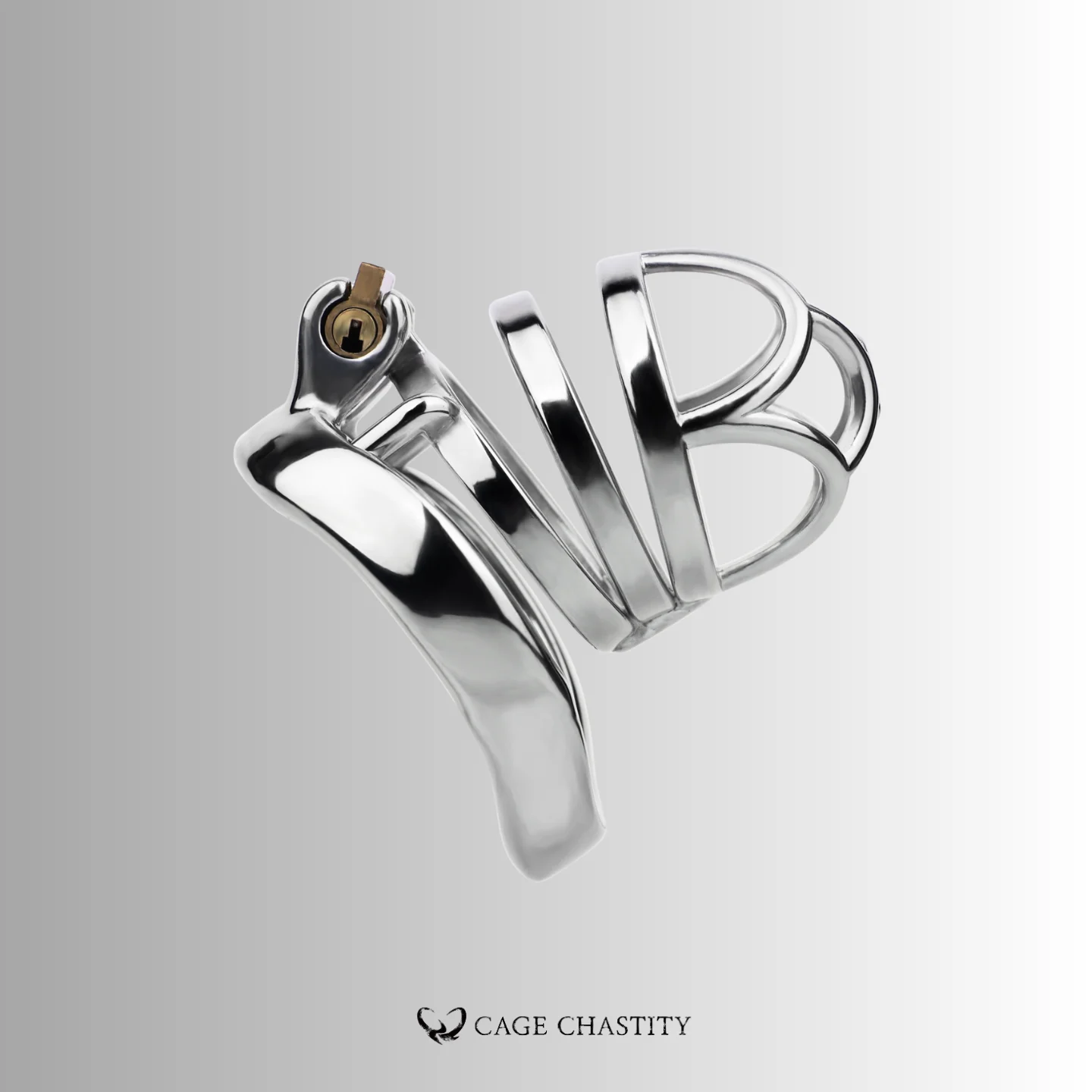 the medium size of the long term cage