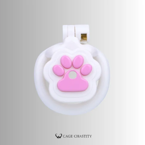 the front view of the paw patterns