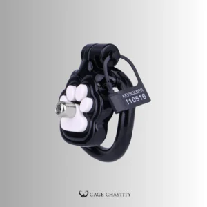 the black cage with sounding tube and plastic key lock