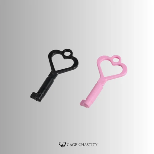 the pink and black color of the plastic lock and key