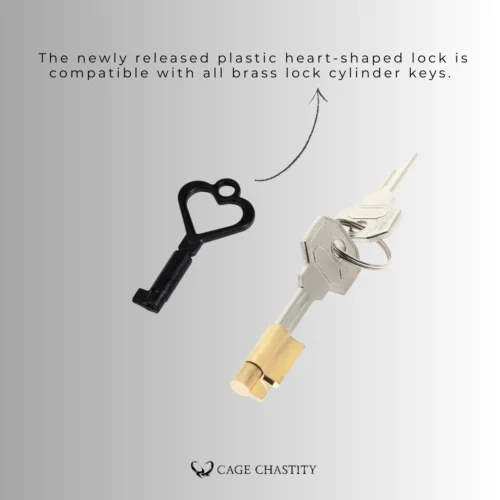 the new reusable heart lock