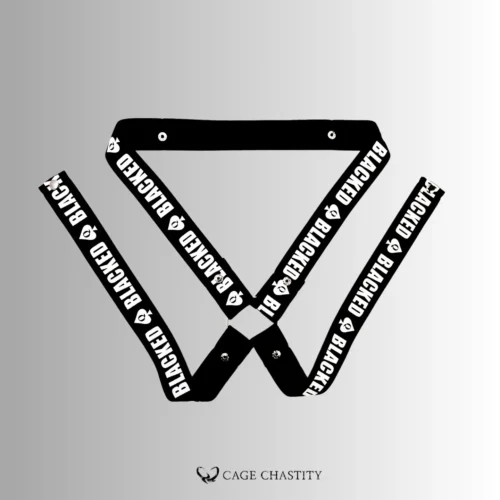 the four way strap demonstration