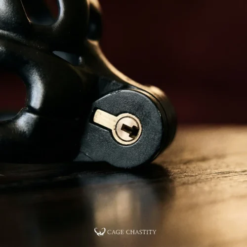 the lock details