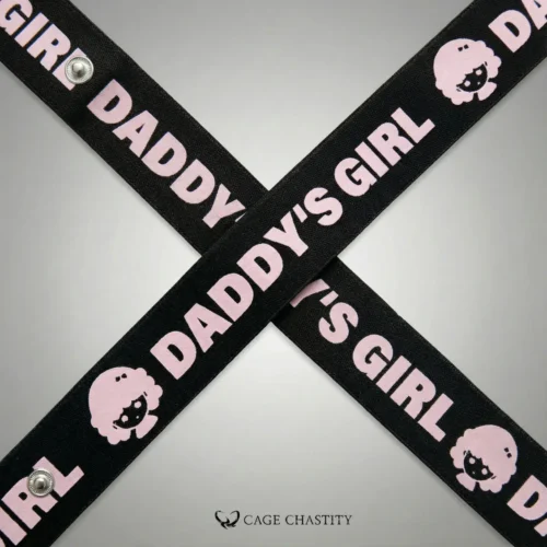 overview of the belt