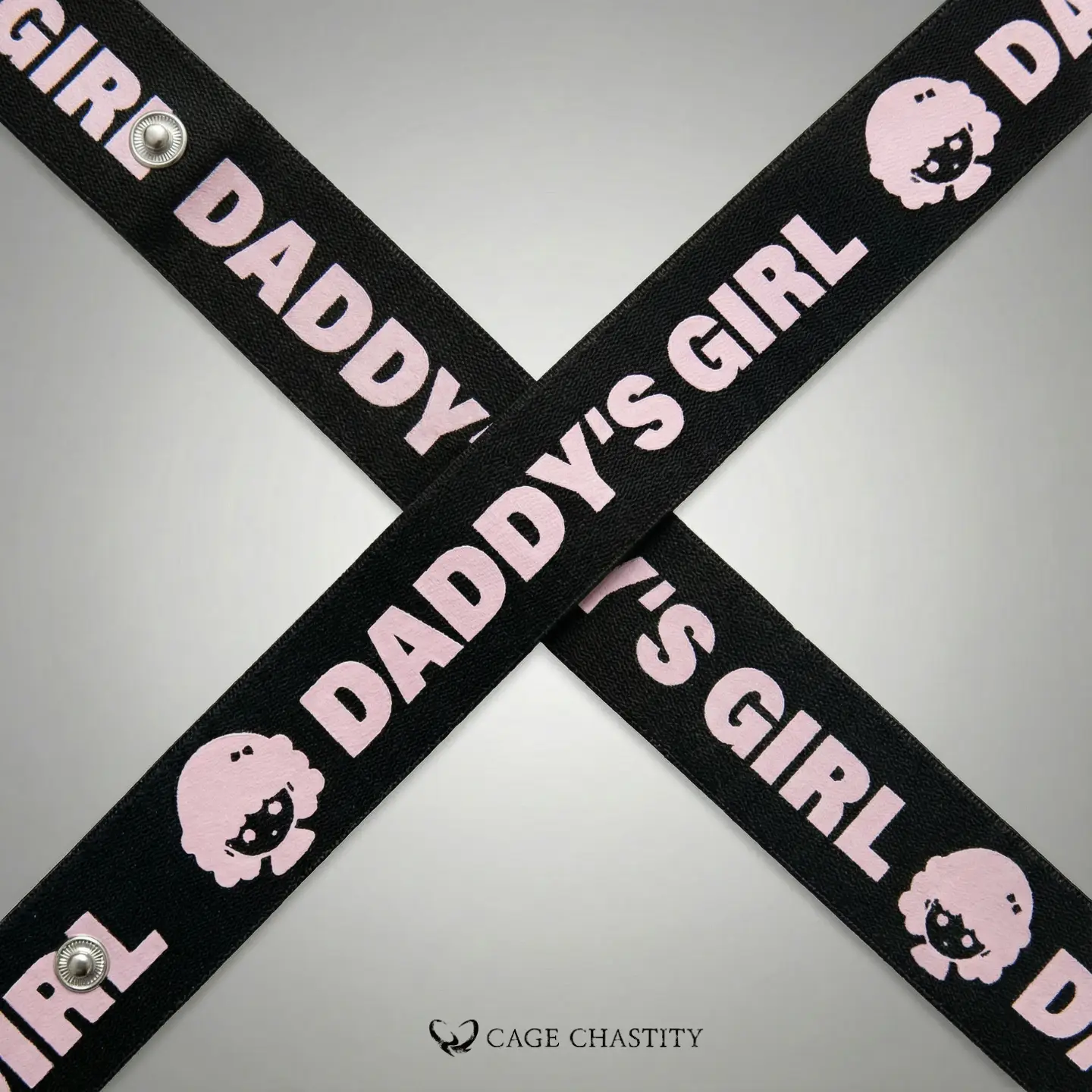 overview of the belt