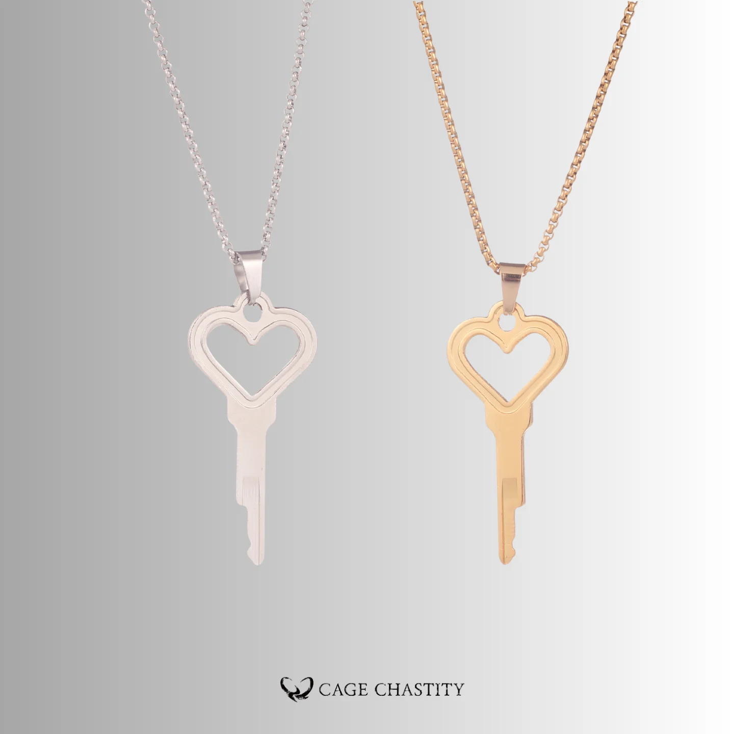 the two keys in pair, gold and silver