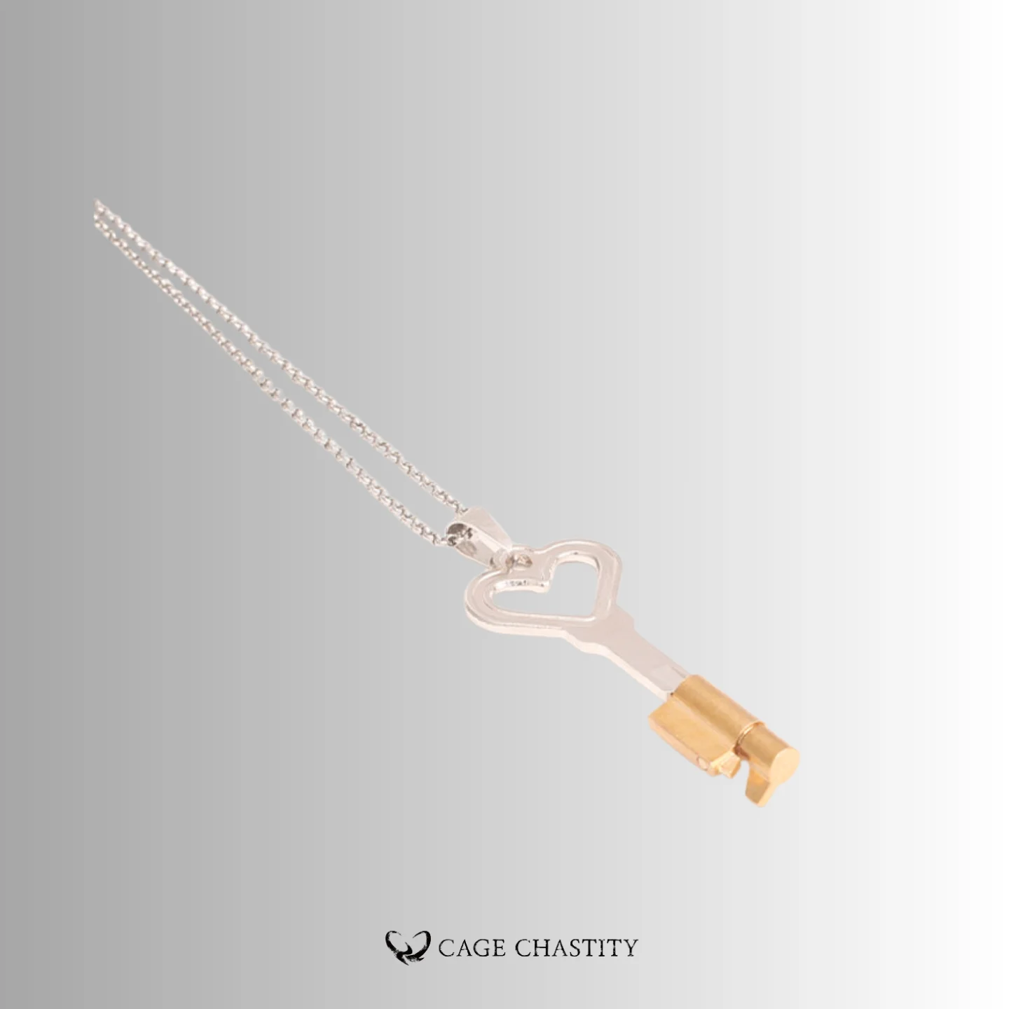 the silver necklace key