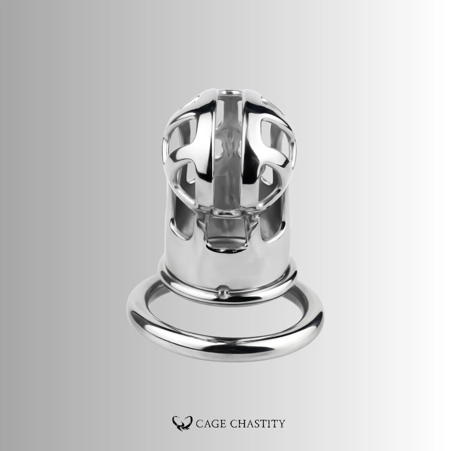 the bottom view of the cage