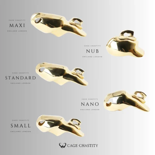 different size comparison of gold htv4