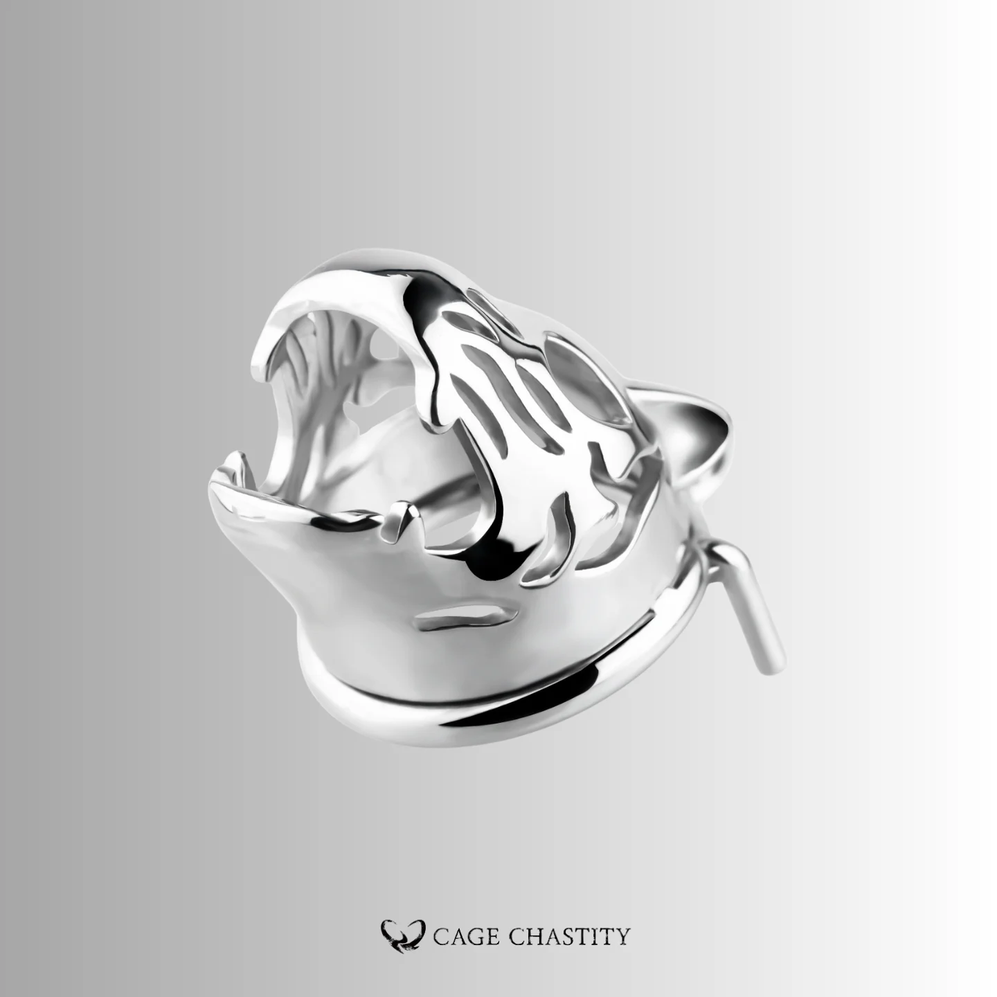 the mouth of the tiger cage