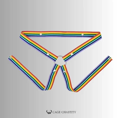 the four way edition of the rainbow belt