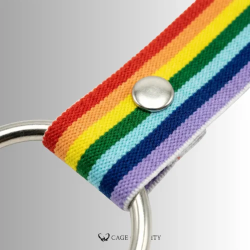 the metal snap of the lgbtq rainbow color belt