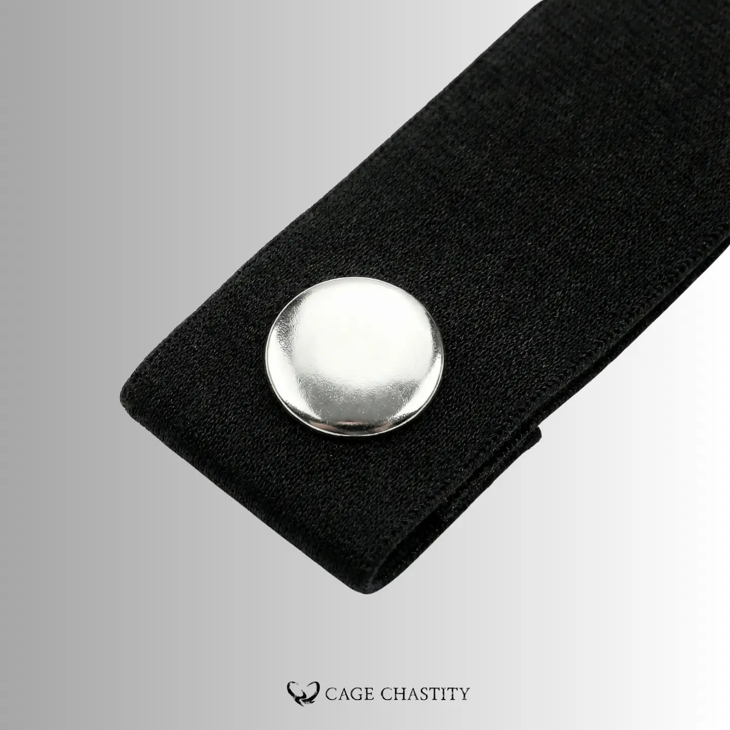 details of the metal snap