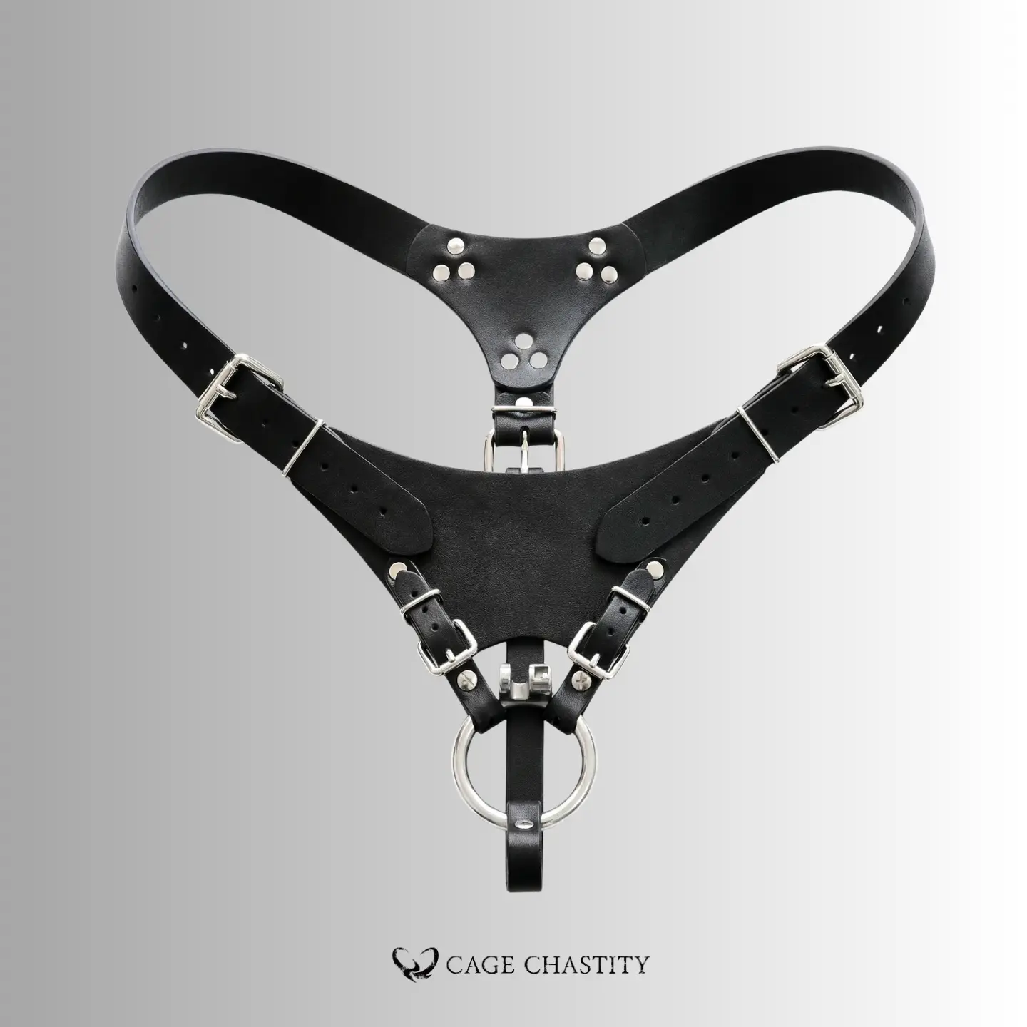 details of the front of the harness