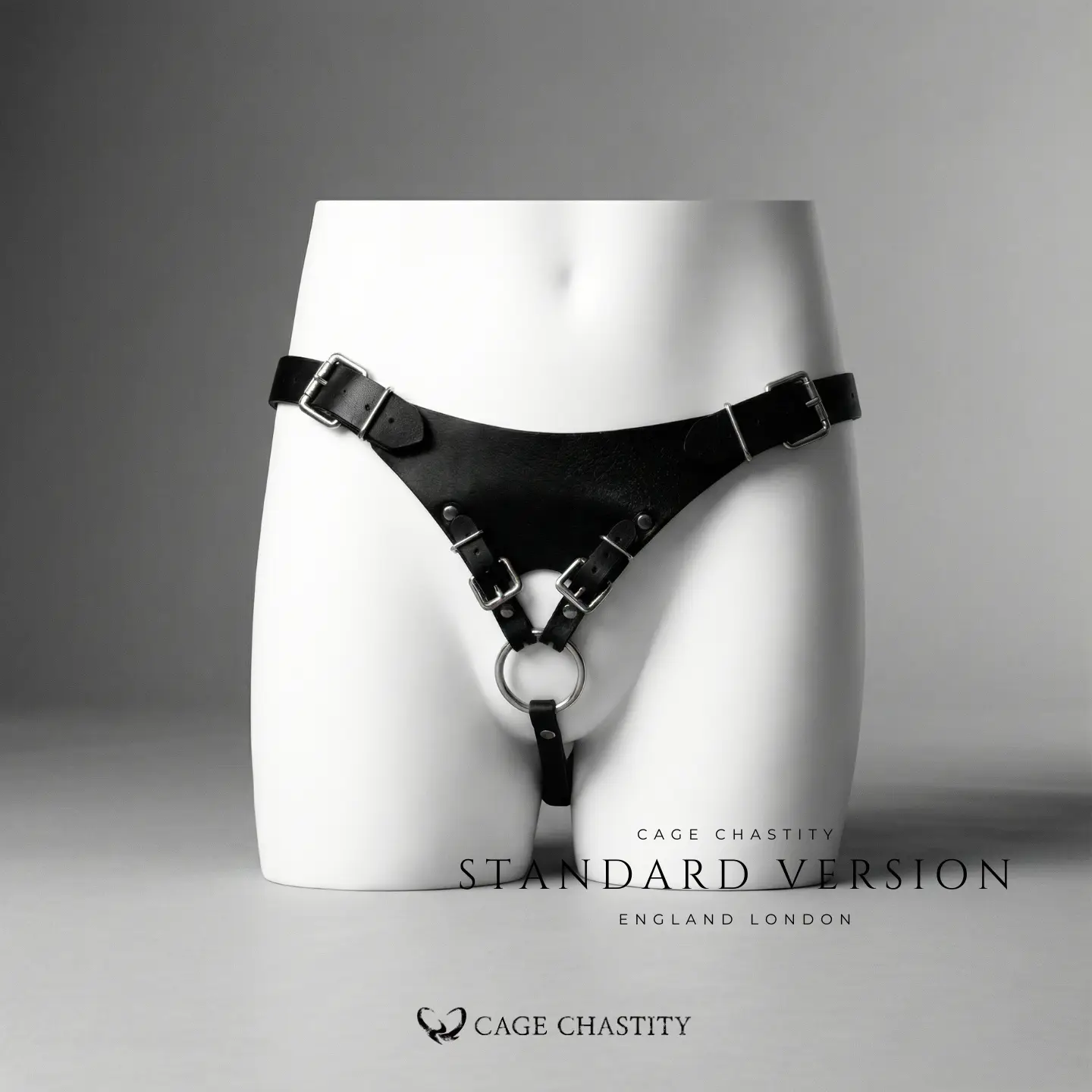 the front view of the standard version