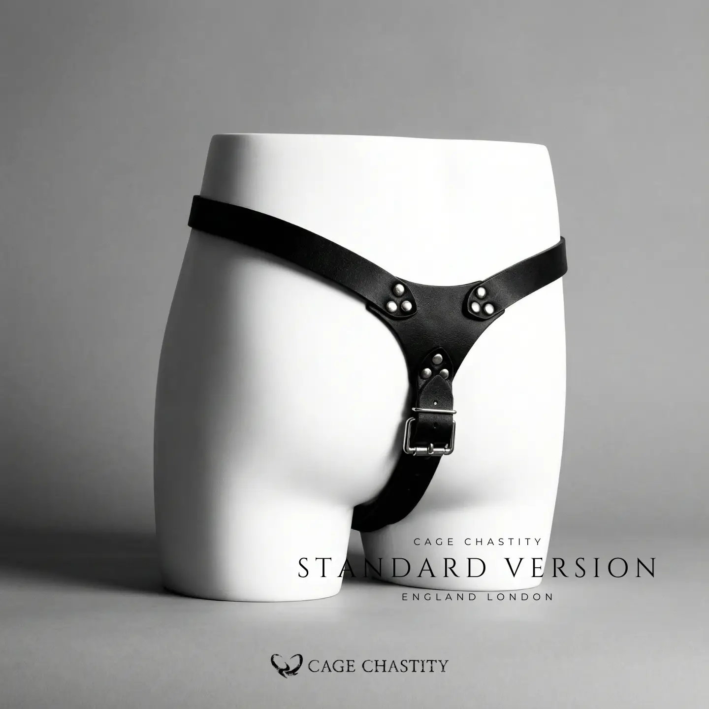 the back view of the standard version