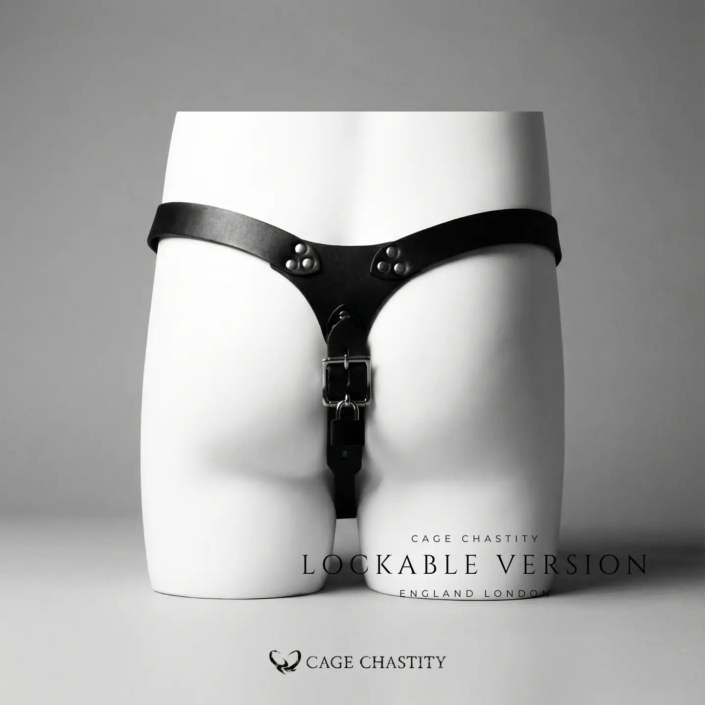 the back view of the lockable version of the leather chastity harness