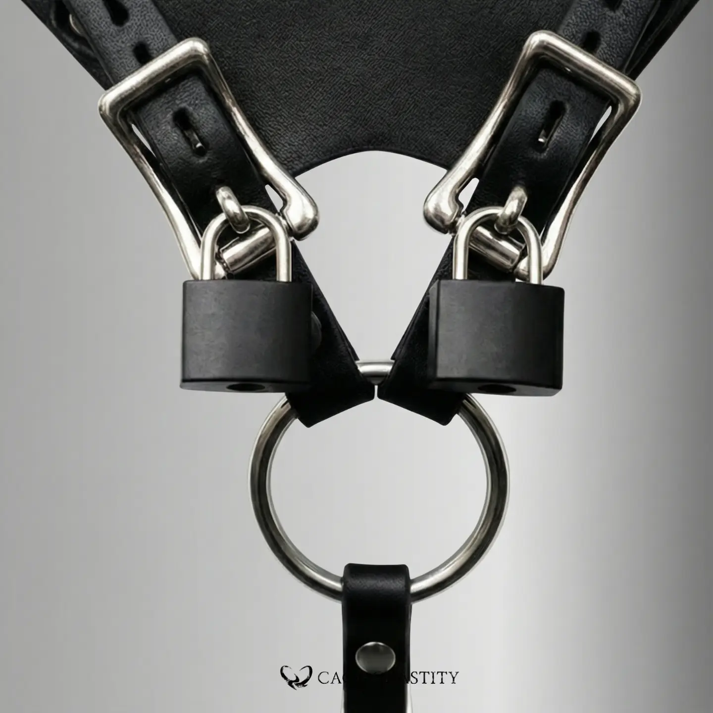 the locks on the harness