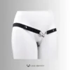 Feminine Contour Steel Chastity Restraint - CCY02