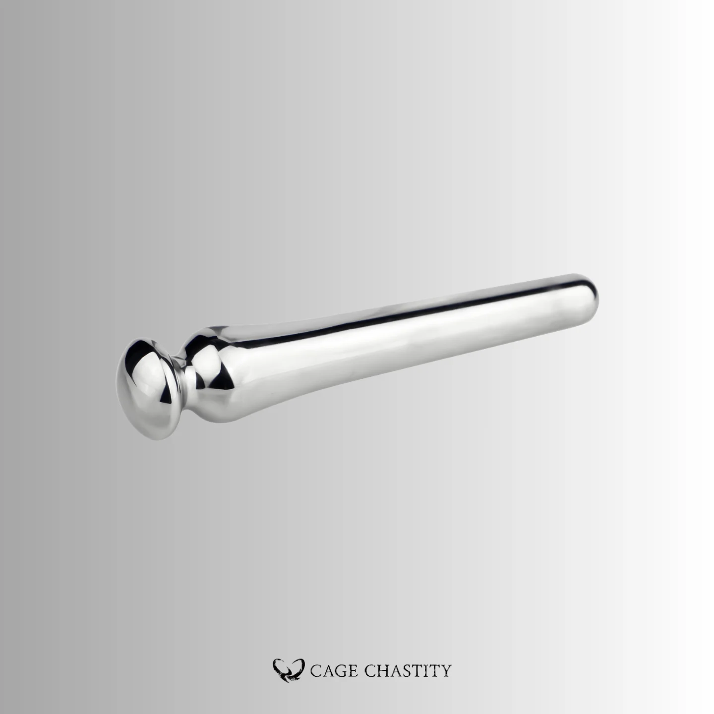 the silver edition of the sounding rod