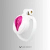 Anatomical Vulva Chastity Cage